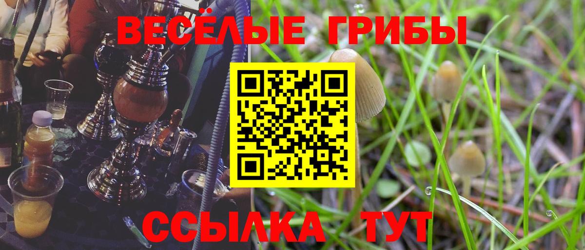 Галлюциногенные грибы Cubensis Нижневартовск