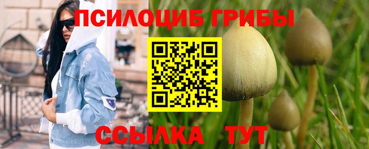 Нижневартовск  Галлюциногенные грибы ЛСД  Вход с VPN 
